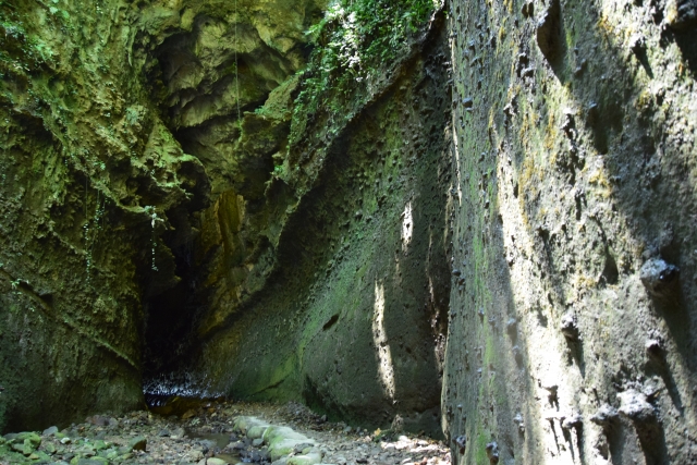 絶好の撮影スポット